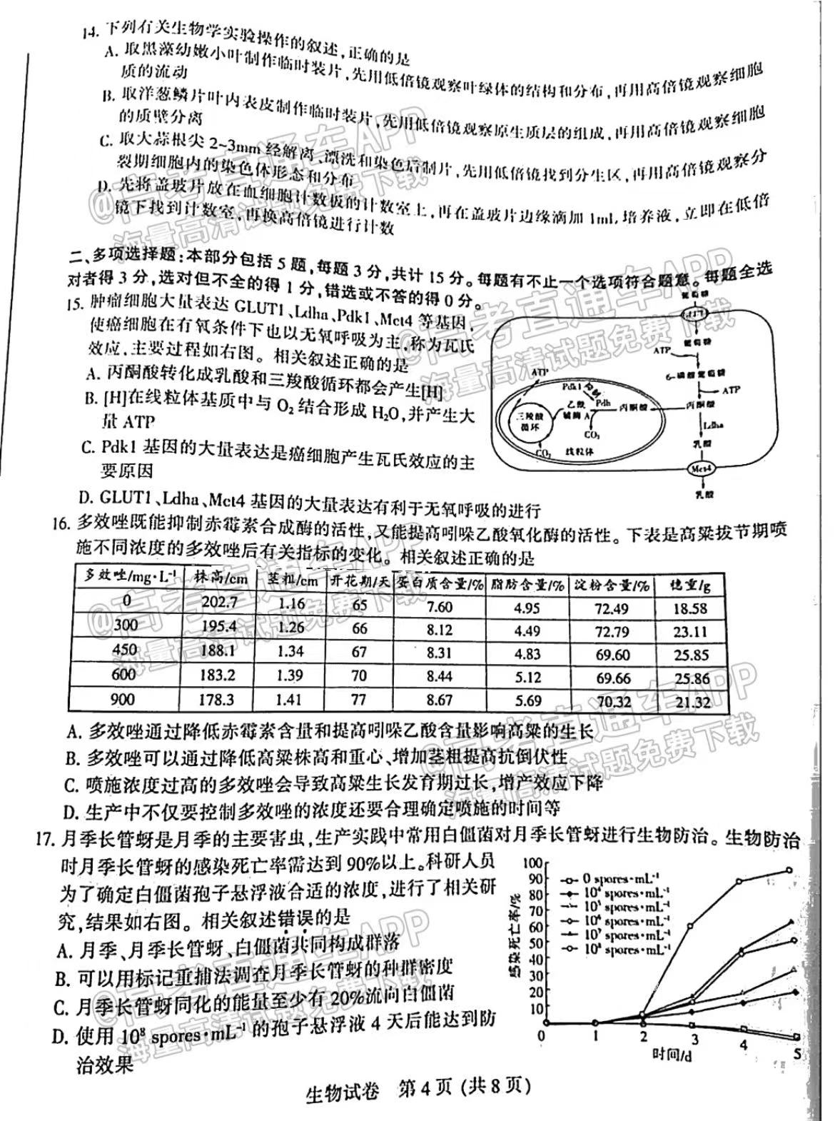 1肖一碼100%準澳門,肖一碼理論研究解析，澳門精準預測的探討,深度調查解析說明_鋟版53.83.95