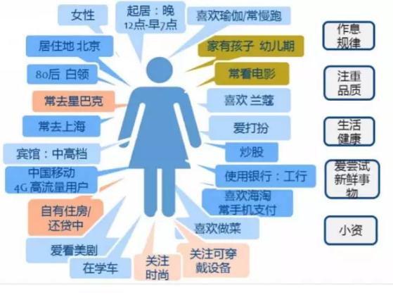 干法制粒設備,干法制粒設備與實地執行分析數據的應用,安全性策略評估_P版33.89.22