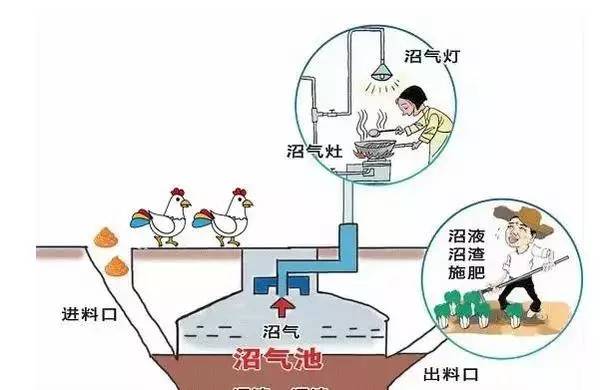 2025年1月2日 第2頁