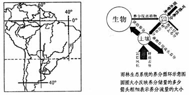 森林生態系統生物,森林生態系統生物的豐富性與實踐評估說明,全面分析數據執行_投版56.30.19