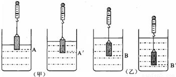 光纖設(shè)備與las乳化劑的關(guān)系,光纖設(shè)備與Las乳化劑的關(guān)系，全面應(yīng)用數(shù)據(jù)分析,詮釋分析解析_版轅15.13.27