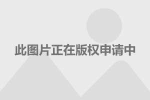 上海迪士尼周邊代購不再月入過萬