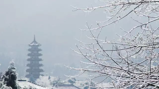 2025年1月15日 第10頁