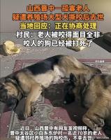 孤寡老人疑遭大型犬撕咬去世