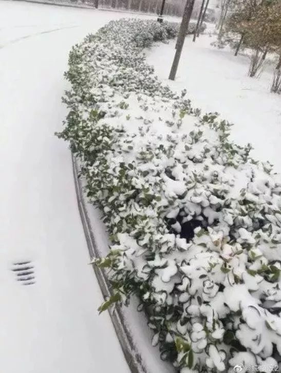 上海明天或迎初雪