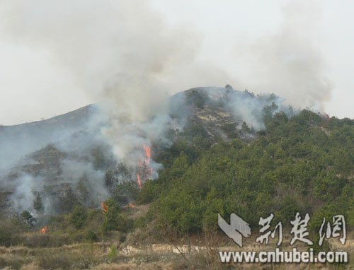 湖北黃石一村莊突發山火 現已撲滅