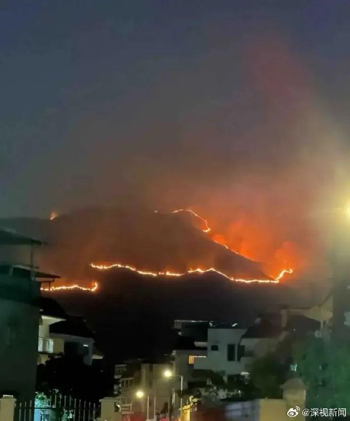 香港元朗山火已受控 無人員受傷報(bào)告