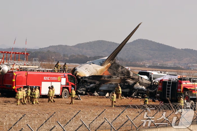 韓國客機事故遇難者DNA已全部采集