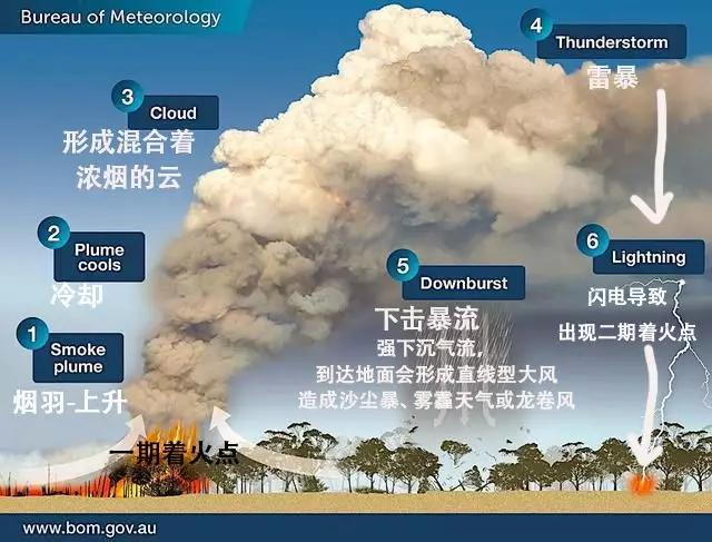 拜登稱因為停電所以加州山火撲不滅