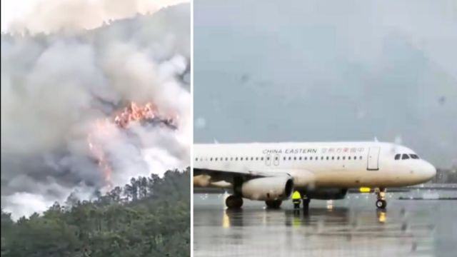 韓國(guó)和荷蘭事故機(jī)型均為波音737-800