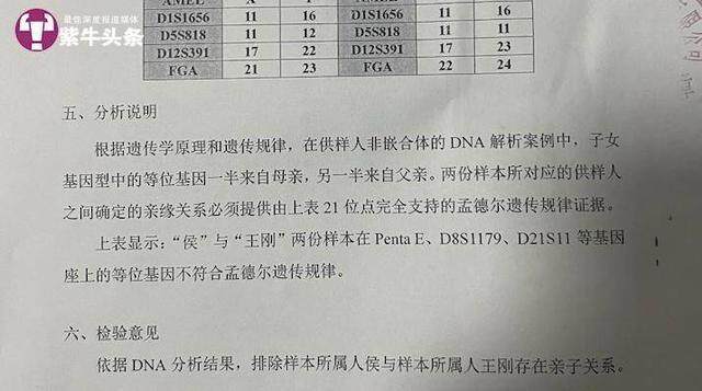 假父回應錯認兒子16年是看他可憐,實時解析數據_靜態版82.45.17