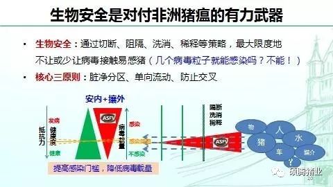 新澳門管家婆一句話澳門管,前沿分析解析_鋅版43.57.15