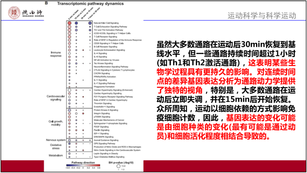 2025年澳門免費大全,決策資料解釋定義_版次85.51.26