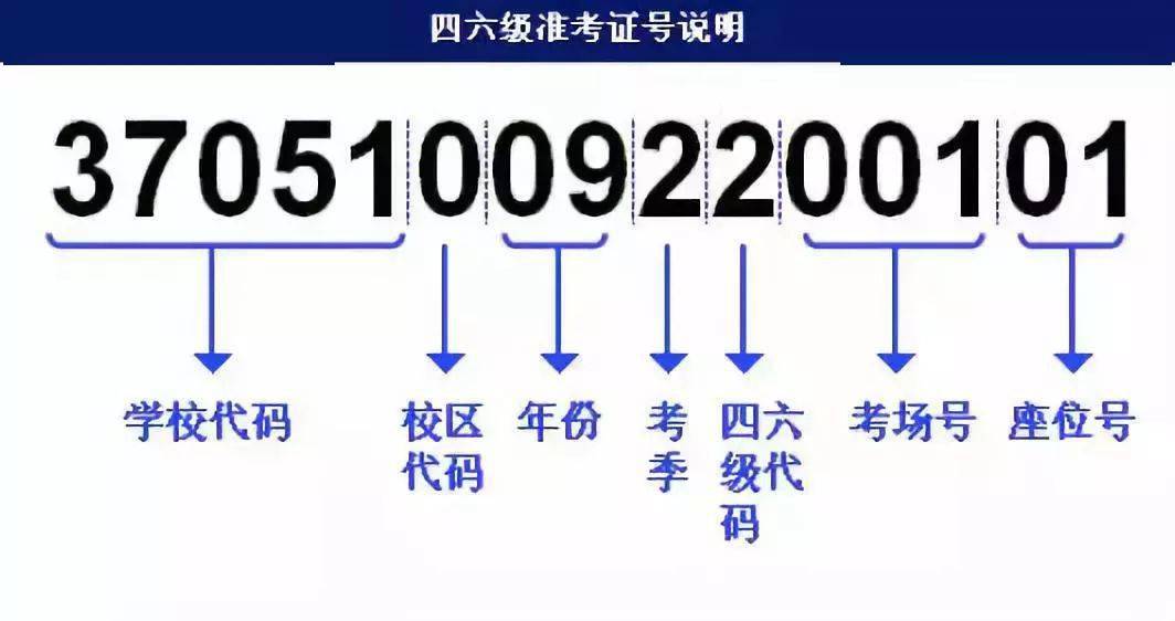 2025年老澳門論壇,快速問題處理策略_旗艦版25.42.54