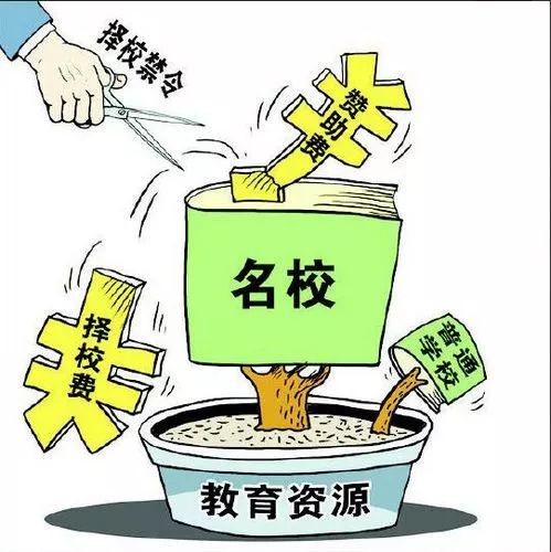 2025年澳門開什么號碼,小狗咬了人 爺爺將其放桌上教育