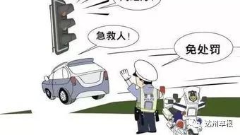 鐵算算盤4887開獎資料下載,車主遇特種車輛執行任務不避讓被罰