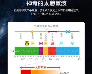 管家婆必開一肖一,新型太赫茲波偏振調制器研發成功