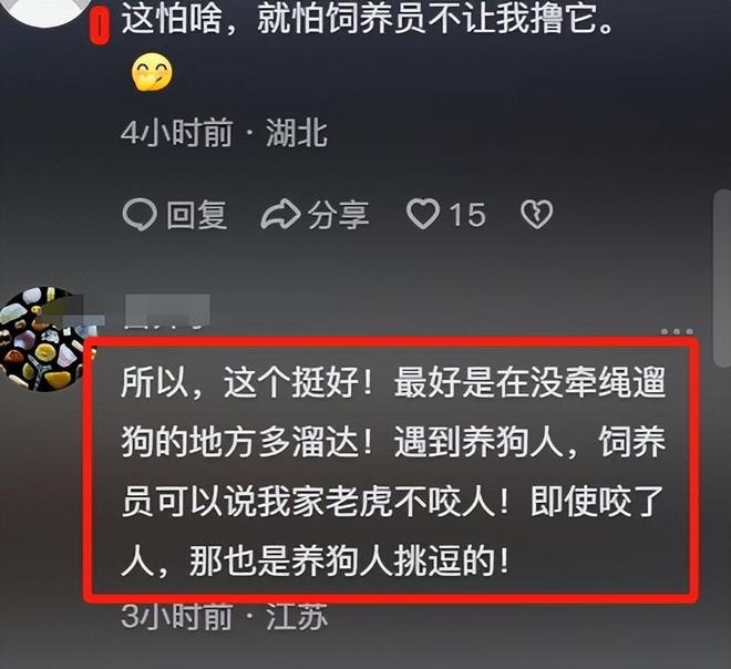 本港臺現場直播開獎報碼開獎結果,埃及一飼養員跌入獅籠被咬身亡