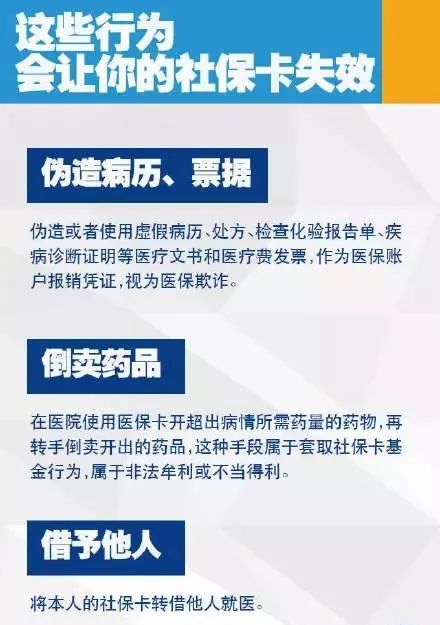 澳門2025年管家婆資料大全查找,領養貓咪花1.4萬后拒付貓貸被告