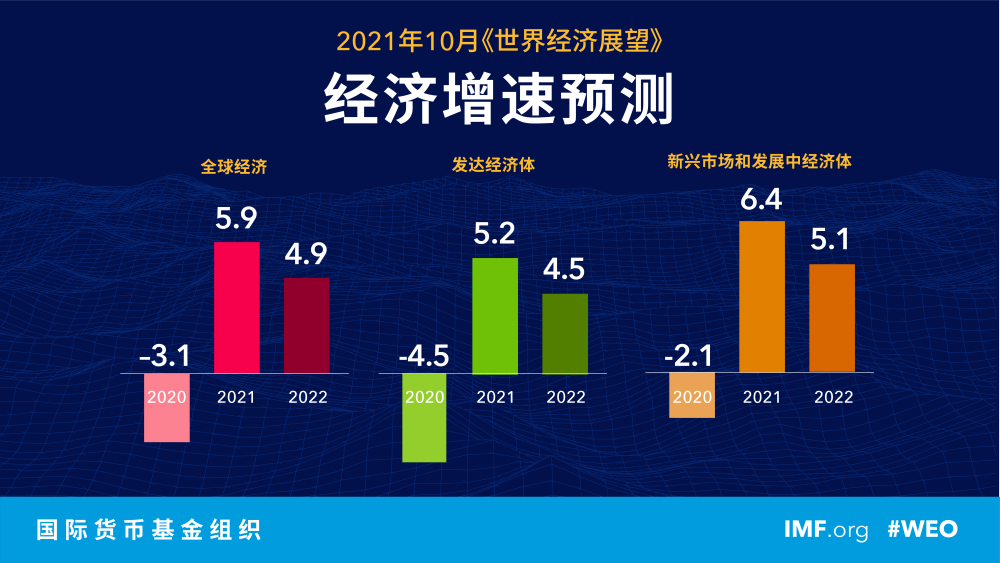 揭秘提升預測準確率之道，經典解析展望2025一碼一肖，實地數據驗證執行_精英版48.74.58